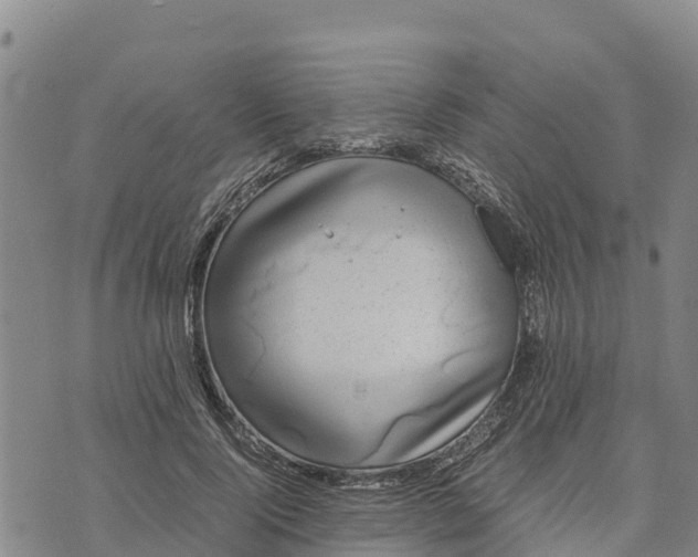 X0000072530740200608041556