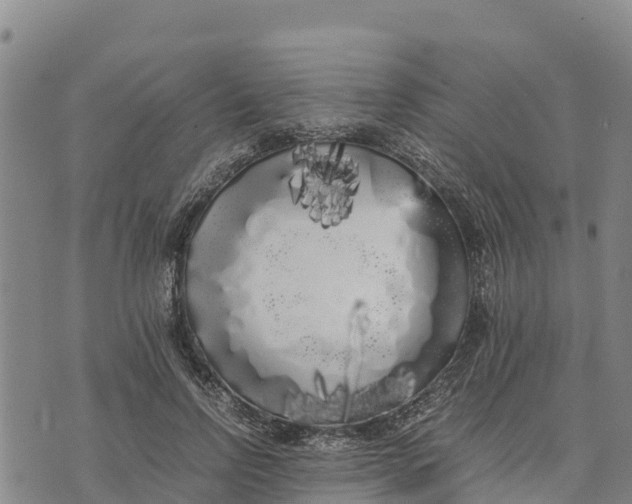 X0000072530742200608041556