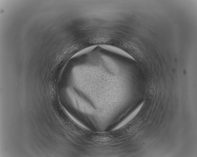 X0000072530743200608041556