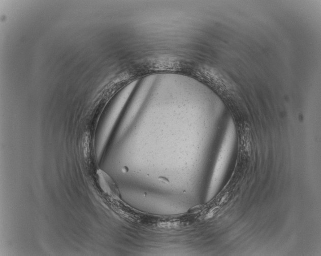 X0000072530744200608041557