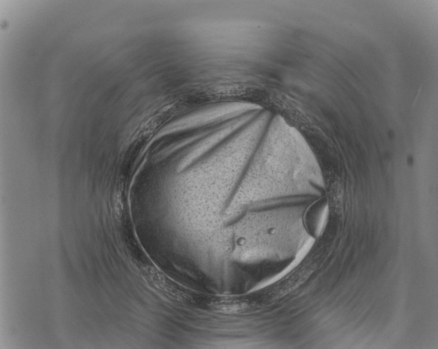 X0000072530746200608041557