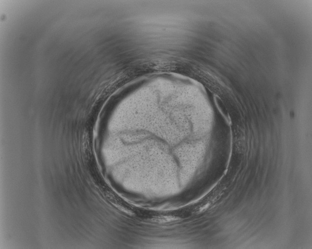 X0000072530748200608041557