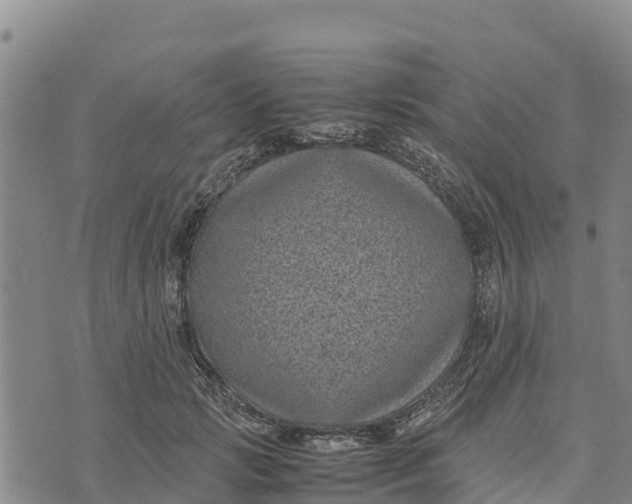 X0000072530749200608041557