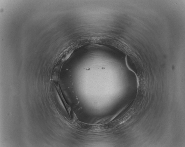 X0000072530750200608041557