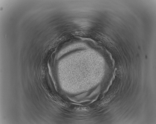 X0000072530751200608041557