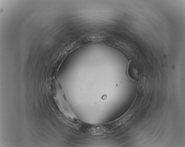 X0000072530752200608041557