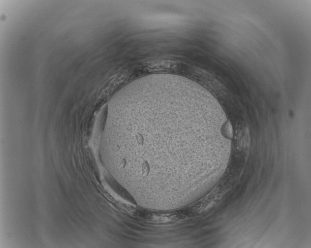 X0000072530753200608041557