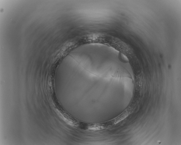 X0000072530754200608041557