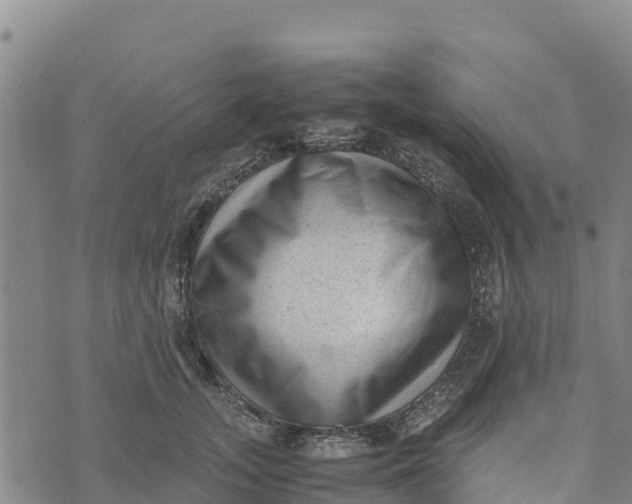 X0000072530755200608041557