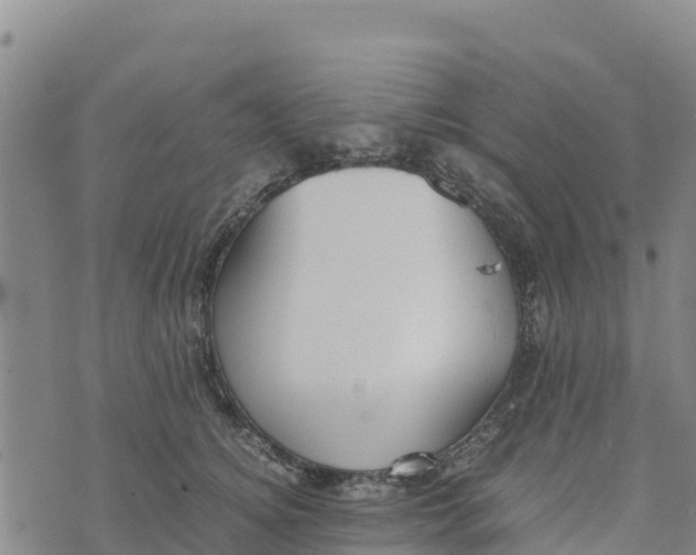 X0000072530756200608041557