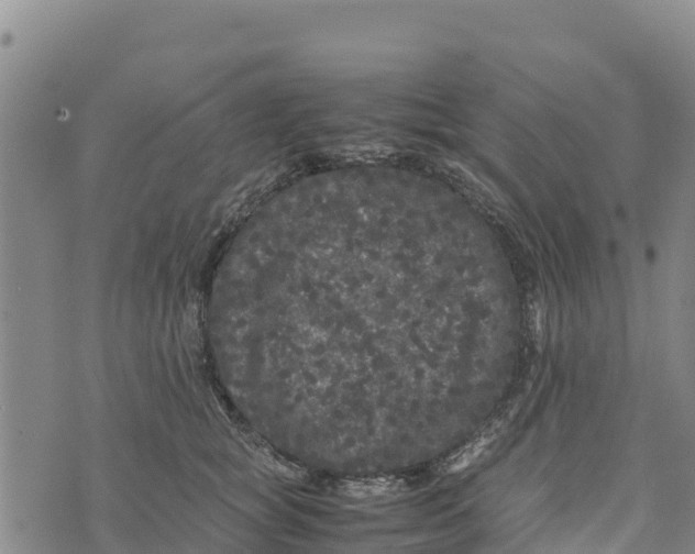 X0000072530757200608041557