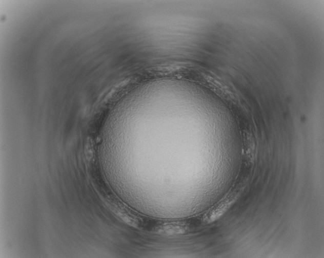 X0000072530758200608041557