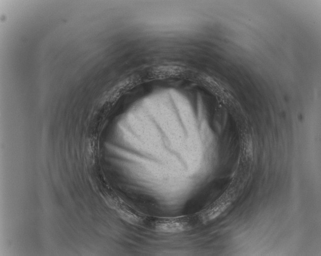 X0000072530759200608041557