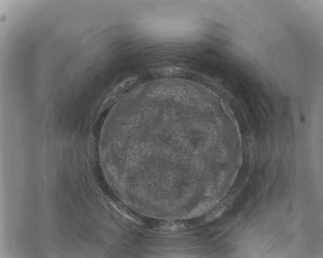 X0000072530760200608041557