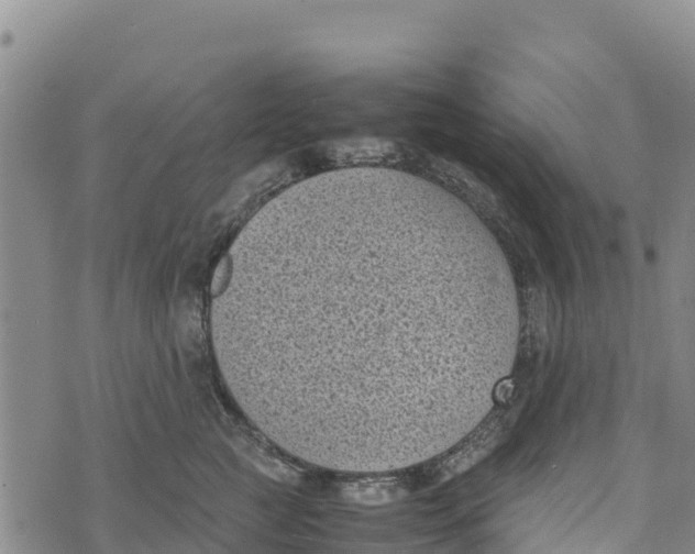 X0000072530761200608041557