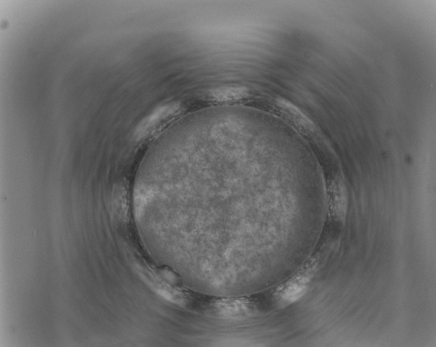 X0000072530762200608041557