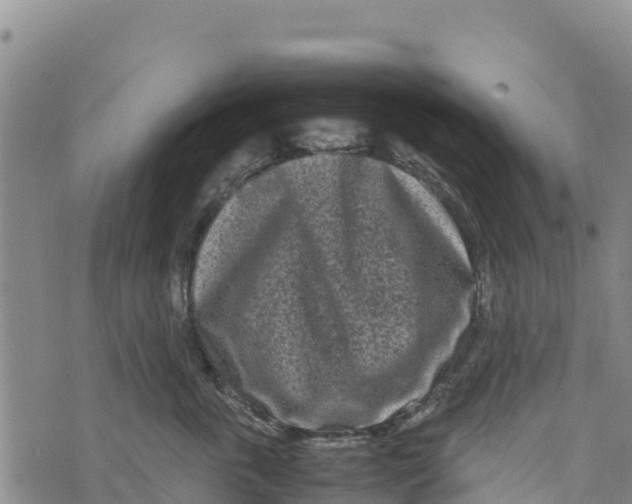 X0000072530763200608041557