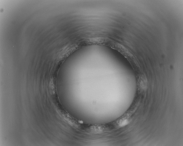 X0000072530764200608041557