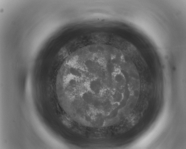 X0000072530765200608041557