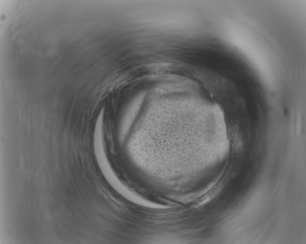 X0000072530766200608041557