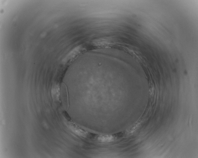 X0000072530767200608041557