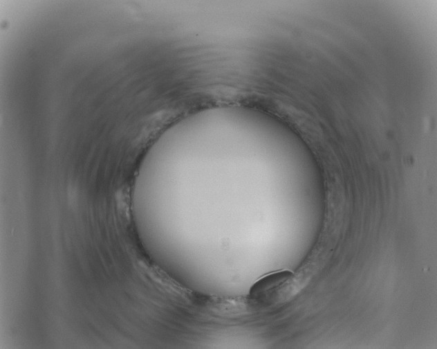 X0000072530768200608041557