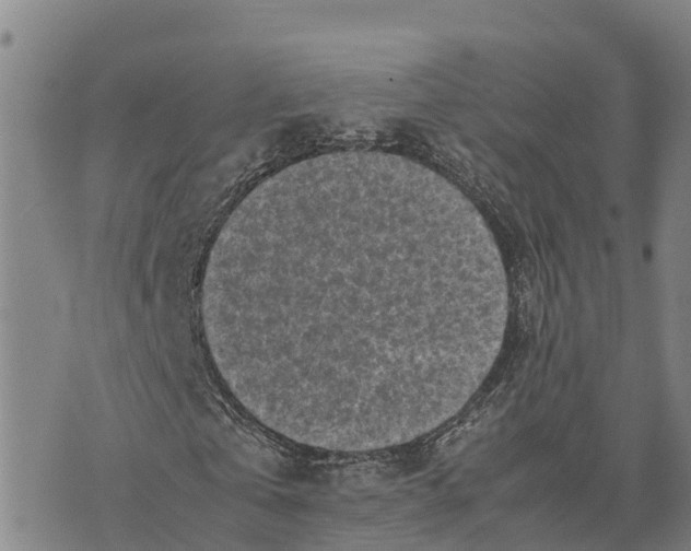 X0000072530769200608041556