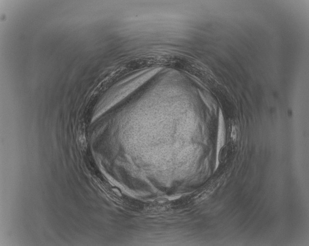 X0000072530771200608041556