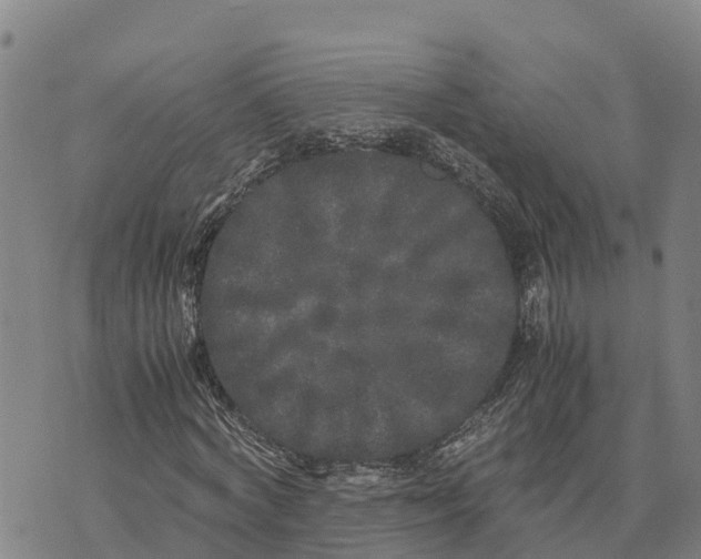 X0000072530772200608041556