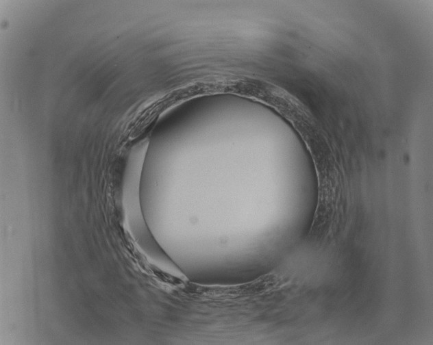 X0000072530773200608041556