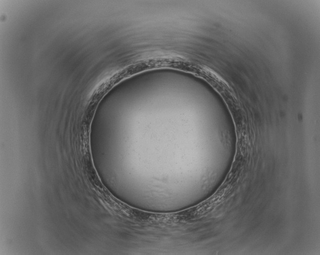 X0000072530775200608041556