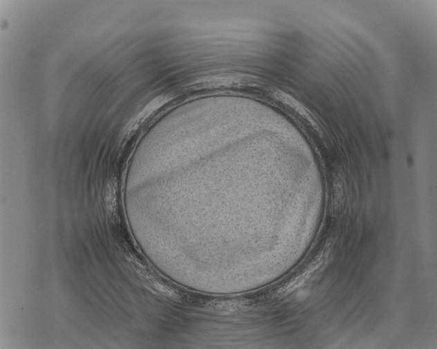 X0000072530778200608041556