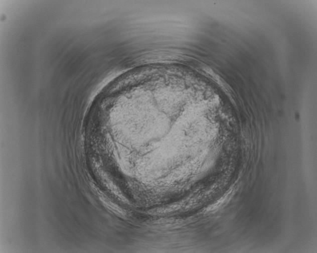 X0000072530779200608041556