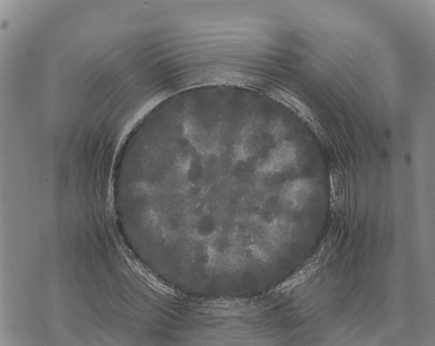 X0000072530780200608041556