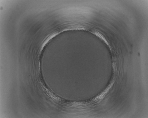 X0000072530781200608041556