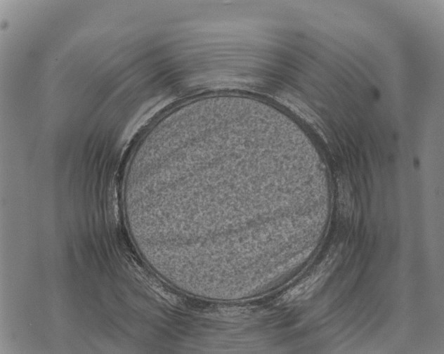 X0000072530782200608041556