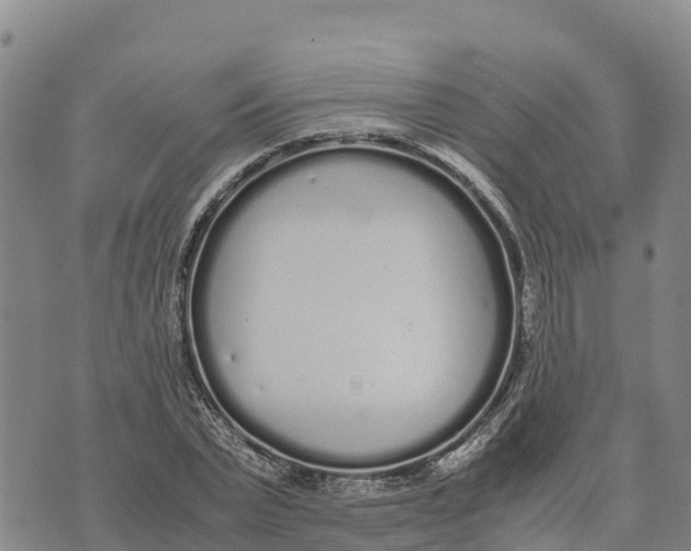 X0000072530783200608041556