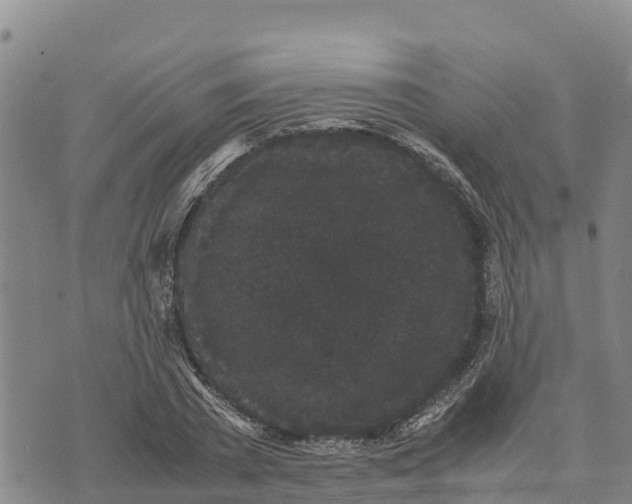 X0000072530785200608041556