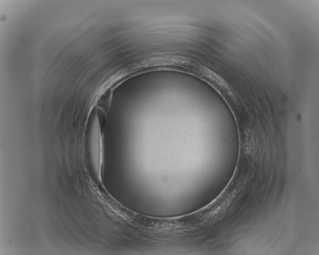 X0000072530786200608041556