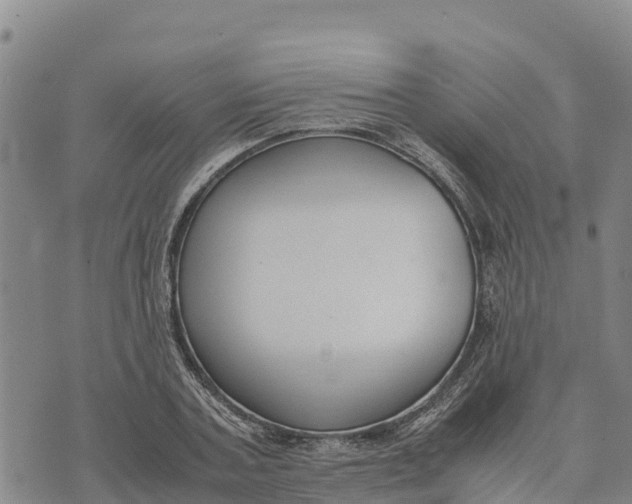 X0000072530787200608041556