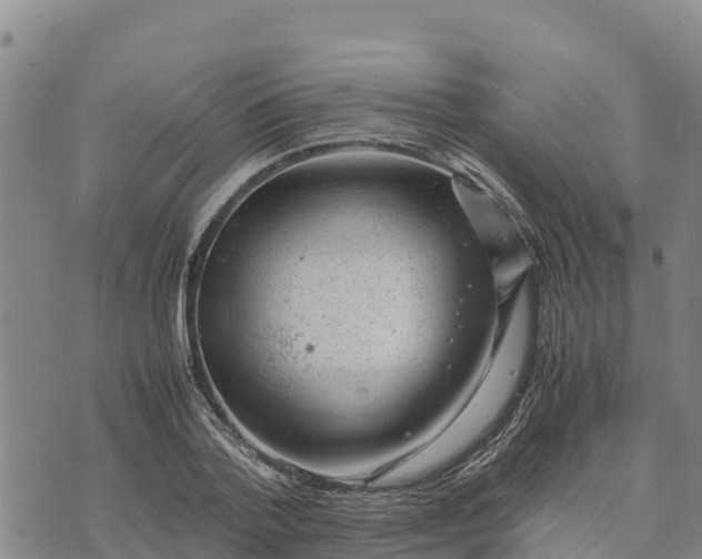 X0000072530788200608041556