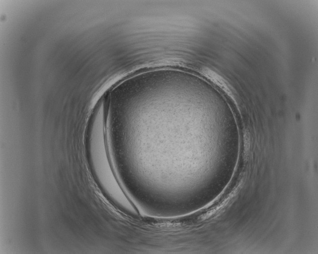 X0000072530789200608041556