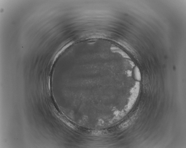 X0000072530790200608041556