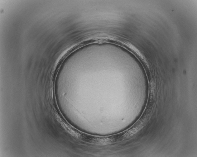 X0000072530791200608041556