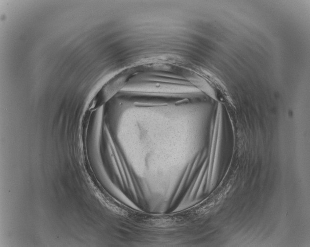 X0000072530792200608041556