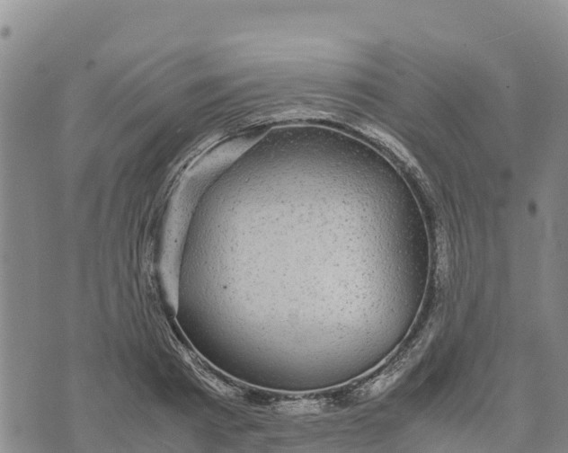 X0000072530793200608041556