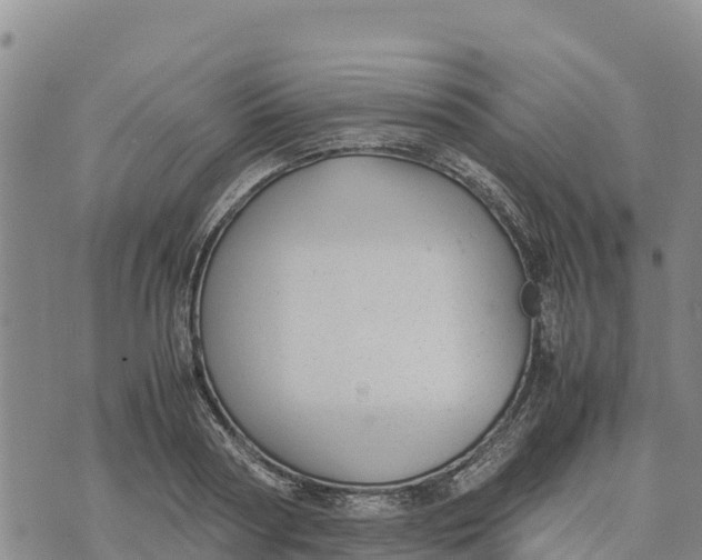 X0000072530794200608041556