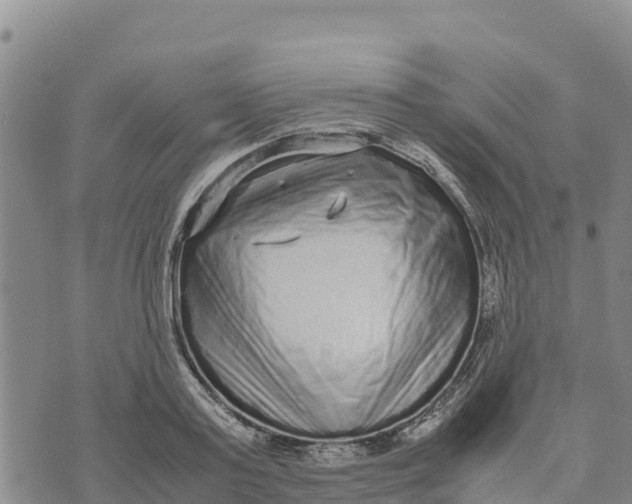 X0000072530795200608041556