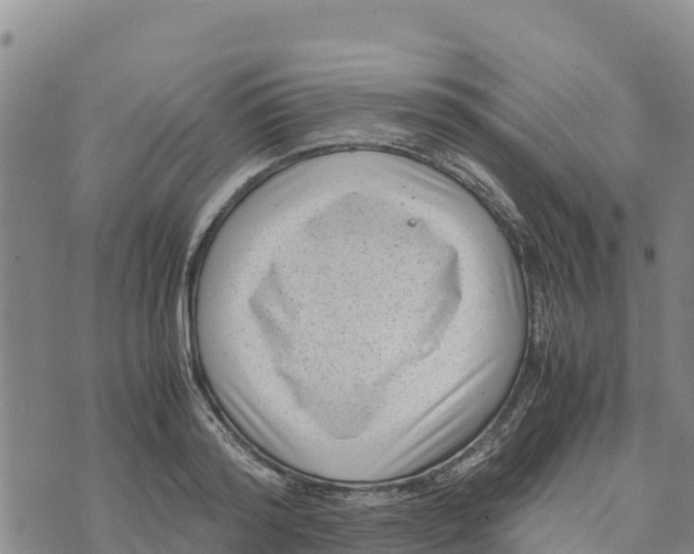 X0000072530796200608041556