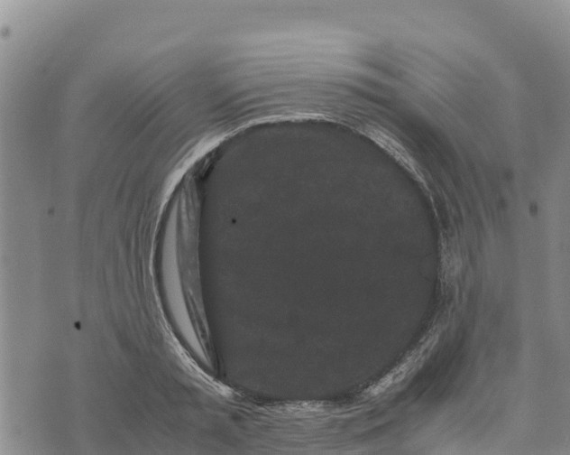 X0000072530797200608041556